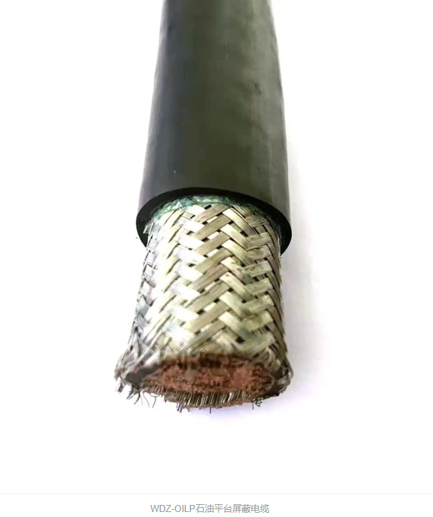 石油平臺電纜WDZ OILP-646MCM